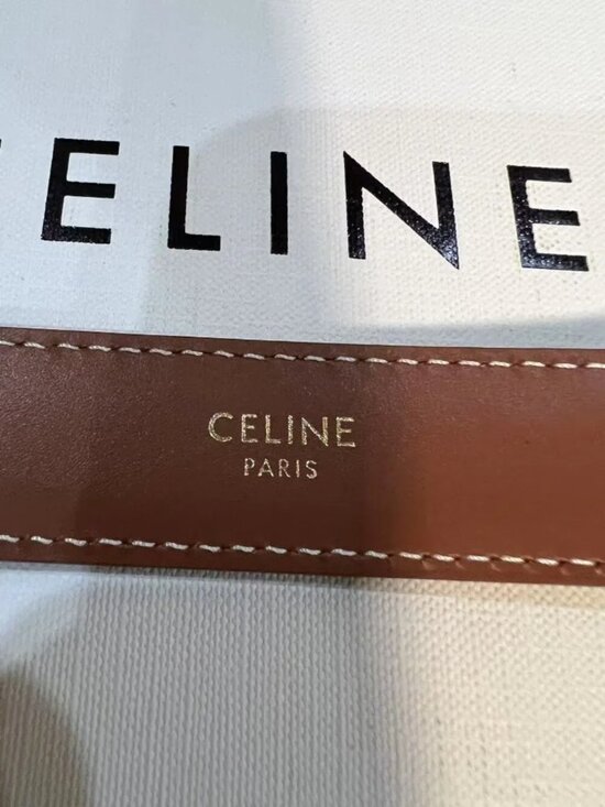 Celine Triomphe Belt Triomphe Canvas Tan Leather Gold Logo Buckle Designer Waist
